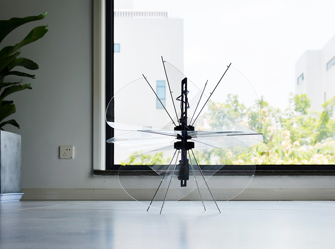 1636976896300404 (1).jpg