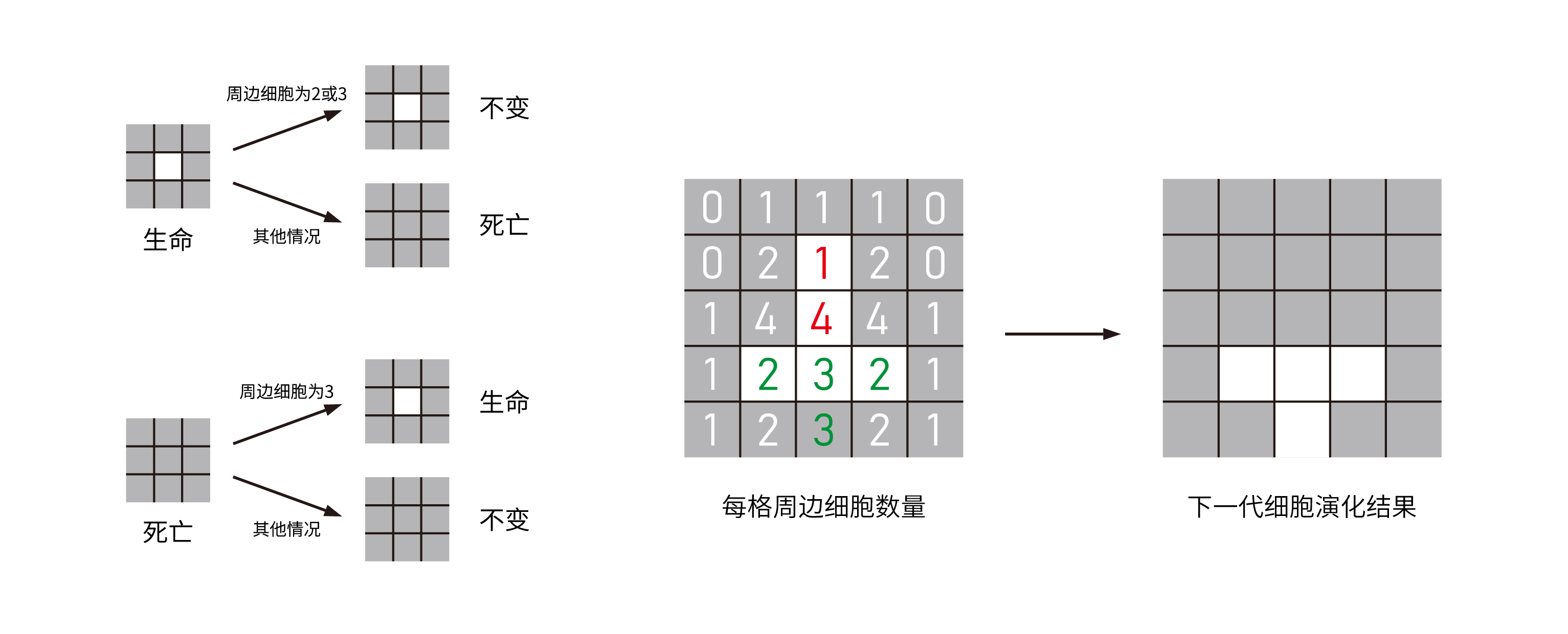 1667060153288097.jpg